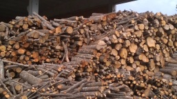 La silvicoltura è una parte importante del nostro lavoro. Produciamo legna da ardere per camini e stufe!!